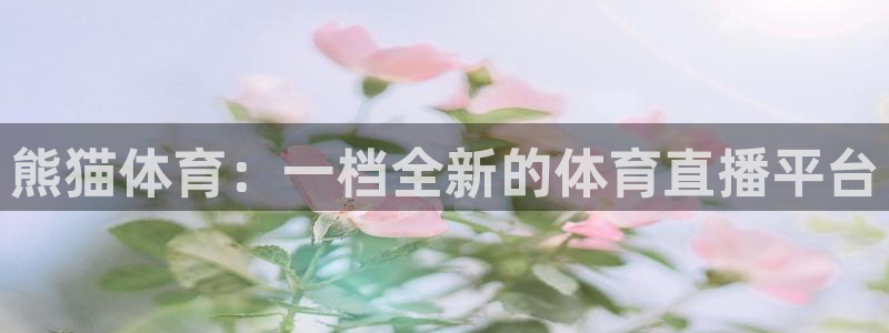 熊猫体育：一档全新的体育直播平台