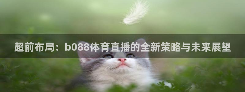 超前布局：b088体育直播的全新策略与未来展望