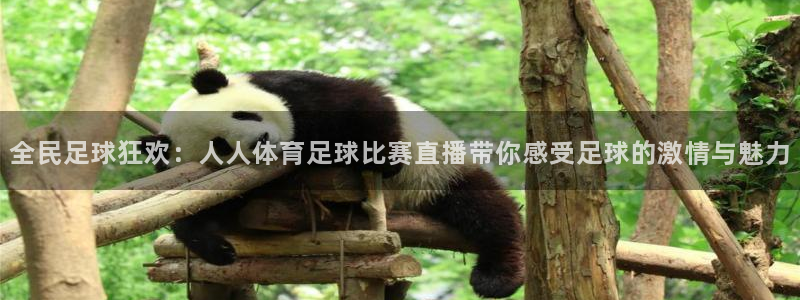 全民足球狂欢：人人体育足球比赛直播带你感受足球的激情与魅力