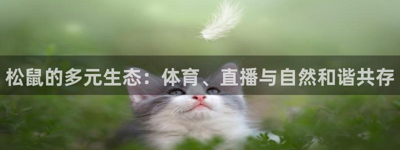 松鼠的多元生态：体育、直播与自然和谐共存