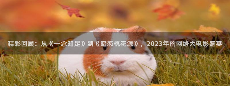 精彩回顾：从《一念知足》到《暗恋桃花源》，2023年的网络大电影盛宴