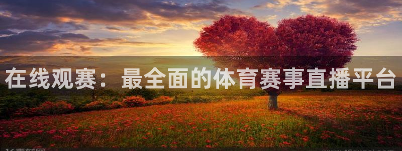 在线观赛：最全面的体育赛事直播平台